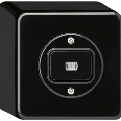 Interruttore AP basico luminoso 6/1L nero 