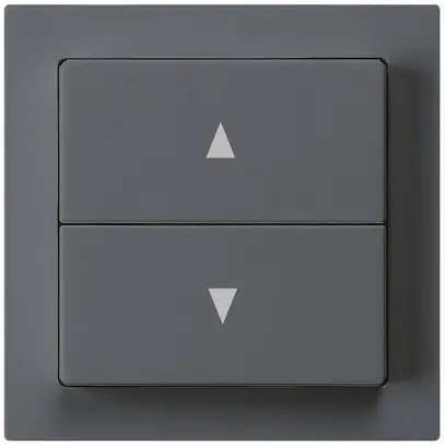 Poussoir pour stores kallysto anthracite avec 2 touches bornes enfichables 