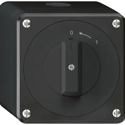 Contatto rotativo AP robusto IP55 nero 1P 