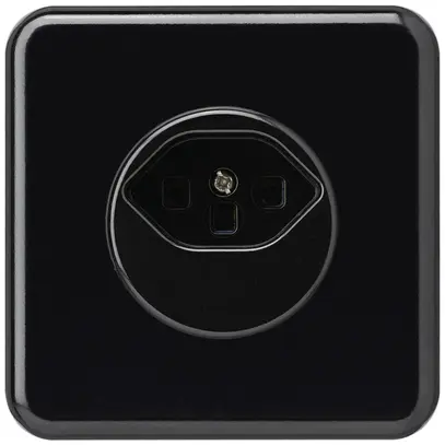 Prise ENC basico type 23 BMI noir avec bornes à vis 