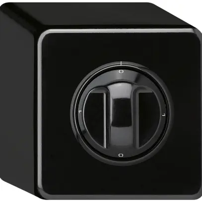 AP-Drehschalter basico 5/1L schwarz mit Drehgriff 