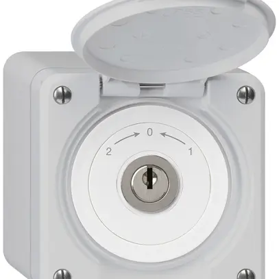 Contact pivotant à clé AP robusto IP55 gris avec clapet inverseur 