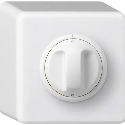 Interruttore rotativo AP basico 0/2L bianco con manopola 