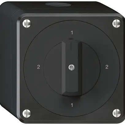 Interruttore rotativo AP robusto IP55 schema 3/1P nero 