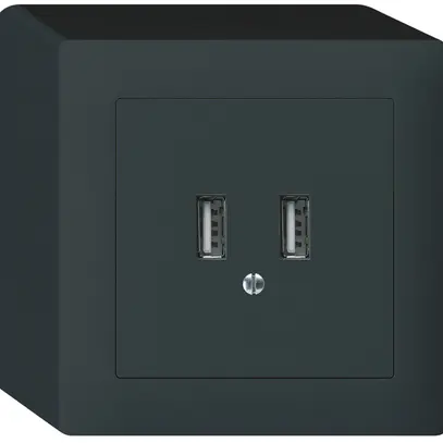 AP-USB-Ladesteckdose Hager kallysto 240V 2400mA schwarz 