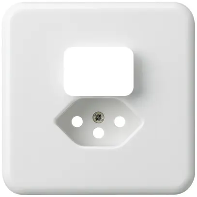 Plaque de recouvrement grd.I basico blanc pour petite combinaison type 13 