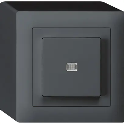 Contact à poussoir lumineux AP kallysto AR/1L anthracite 