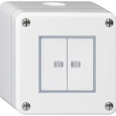 Contact à poussoir AP robusto IP55 2×1P blanc 2×lumineux 