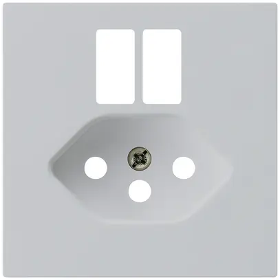 Placca frontale kallysto per presa 2×USB & T13 grigio chiaro 