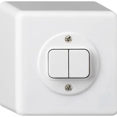 Pulsante AP basico 2×AR/1L bianco 