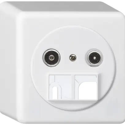 Prise multimédia AP basico TV-R 4dB 2GHz blanc 