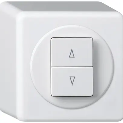 AP-Storentaster basico weiss mit 2 Funktionstasten Steckklemme 