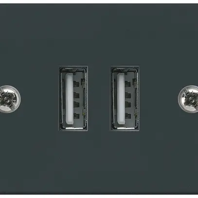 Prise INC 2×USB HA FLF 2400mA noir 