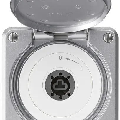 UP-Schlüsselschwenktaster robusto IP55 aluminium mit Deckel ohne Zylinder 2P 