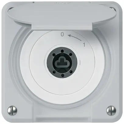 Contatto rotativo a chiave INC robusto IP55 grigio c.coperchio senza cilindro 1P 