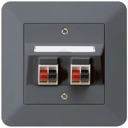 Prise ENC audio kallysto.trend 2× anthracite borne à étrier pour 2 haut-parleurs 