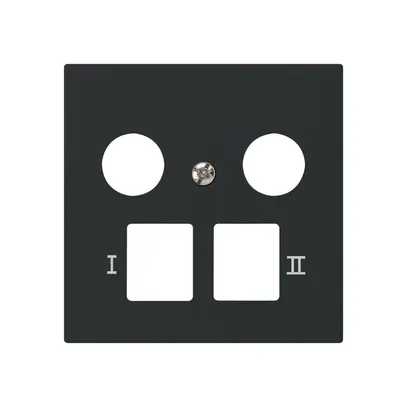 Placca frontale kallysto per R&M HWS nero 2 fori multimedia 