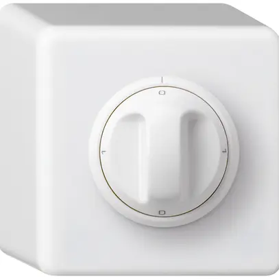 Interruttore rotativo AP basico 0/2L bianco con manopola 