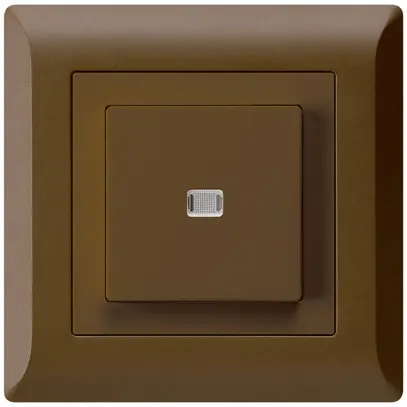 Contact à poussoir lumineux ENC kallysto.line AR/2P brun 