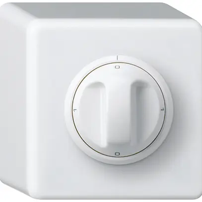 Interruttore rotativo AP basico 0/1L bianco con manopola 