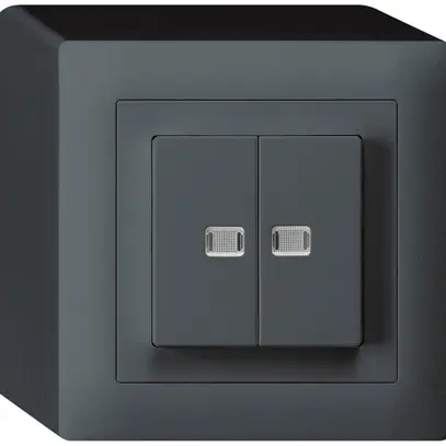 Tasto lum.AP kallysto 2×AR/1L con 2 lenti antracite 