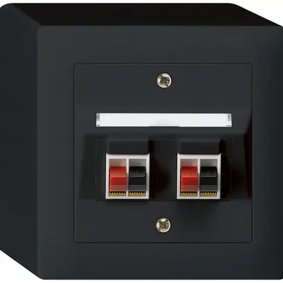 AP-Audiodose kallysto 2×schwarz Klemmanschluss für 2 LS 