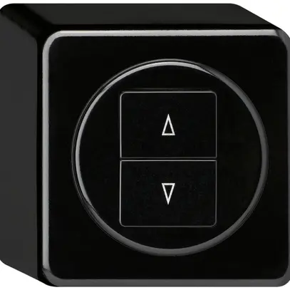 Interruttore per tapparella AP basico con 2 tasti di comando nero 