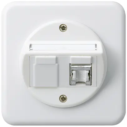 Insert pour prise ENC basico C cat.6 1×RJ45/s sortie oblique blanc 