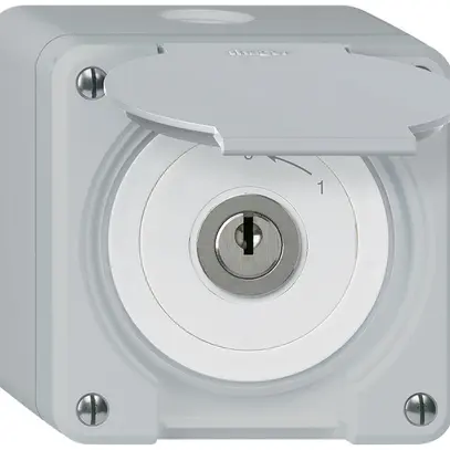 Contact pivotant à clé AP robusto IP55 gris avec clapet 2P 