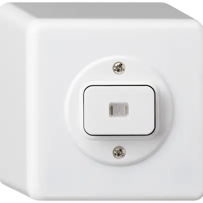 Interruttore AP basico luminoso 6/1L bianco 