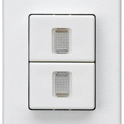 Interrupteur à poussoir double INC Hager FLF 10A/250V 1/1L illuminé blanc 