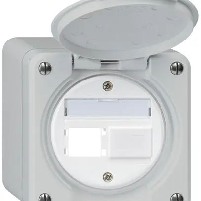 Kit di montaggio AP robusto IP55 uscita frontale per 2×R&M grigio 