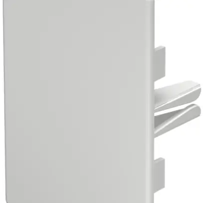 Plaque de fermeture Bettermann pour canal d'installation WDK blanc pur 60×90mm 