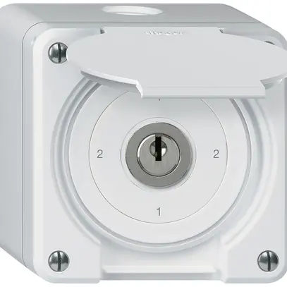 Interruttore a chiave con copertura AP robusto IP55 S3/1P bianco 