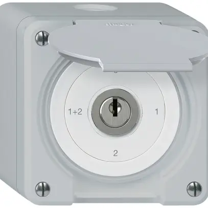 Interruttore a chiave con copertura AP robusto IP55 S1/1P grigio 