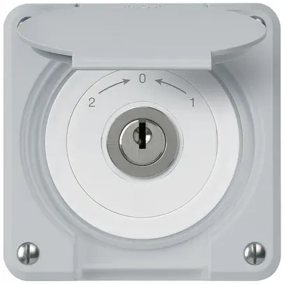 UP-Schlüsselschwenktaster robusto IP55 grau mit Deckel Wechsler 