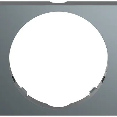 Telaio decorativo ABB Busch-Watchdog PRO antracite 