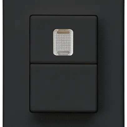 Interrupteur à poussoir double INC Hager FLF 10A/250V 3/1L 1× illuminé noir 