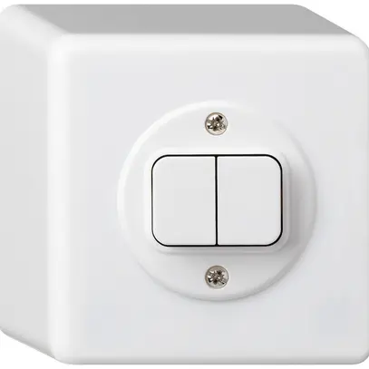 Pulsante AP basico 2×AR/1L bianco 