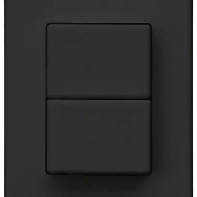 Interruttore a pulsante 2× INS Hager FLF 10A/250V 1/1L nero 