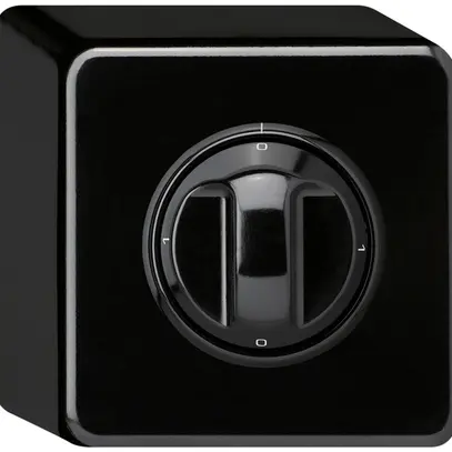 Interruttore rotativo AP basico 0/2L nero con manopola 