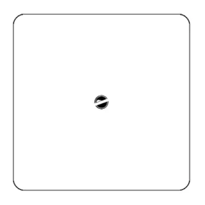 Placca di copertura basico grd.III mat.sint. bianco senza incisione 