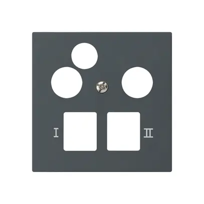 Placca frontale kallysto per R&M HWS antracite 3 fori dati multimedia 