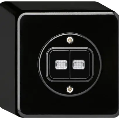 Interrupteur pouss.lum.AP basico 1/3+3/1L avec 2 lentilles noir 