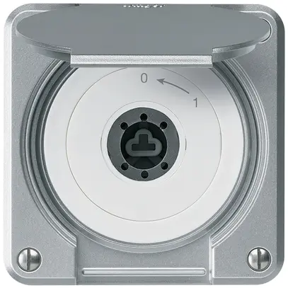 UP-Schlüsselschwenktaster robusto IP55 aluminium mit Deckel ohne Zylinder 2P 