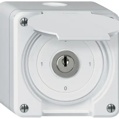 Interruttore a chiave AP robusto IP55 con copertura S0/1P bianco 