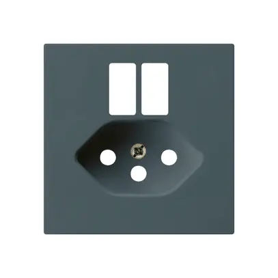 Placca frontale kallysto per presa 2×USB & T13 antracite 