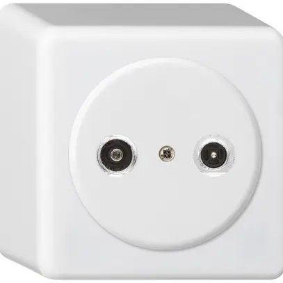 Presa d'antenna AP basico TV-R 4dB 2GHz bianco 