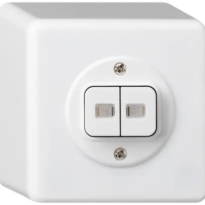 Contact à poussoir lumineux AP basico 2×AR/1L blanc 