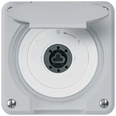 Contatto rotativo a chiave INC robusto IP55 grigio c.coperchio senza cilindro 2P 